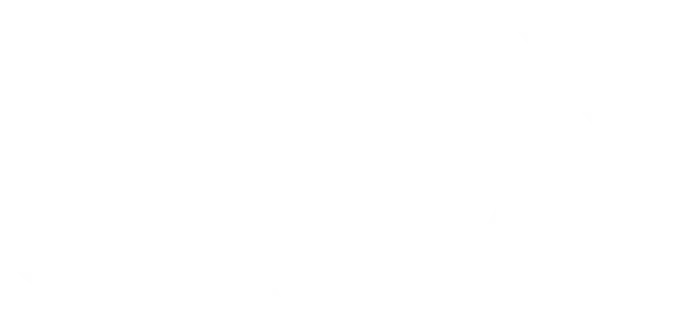 RWB logo all white star